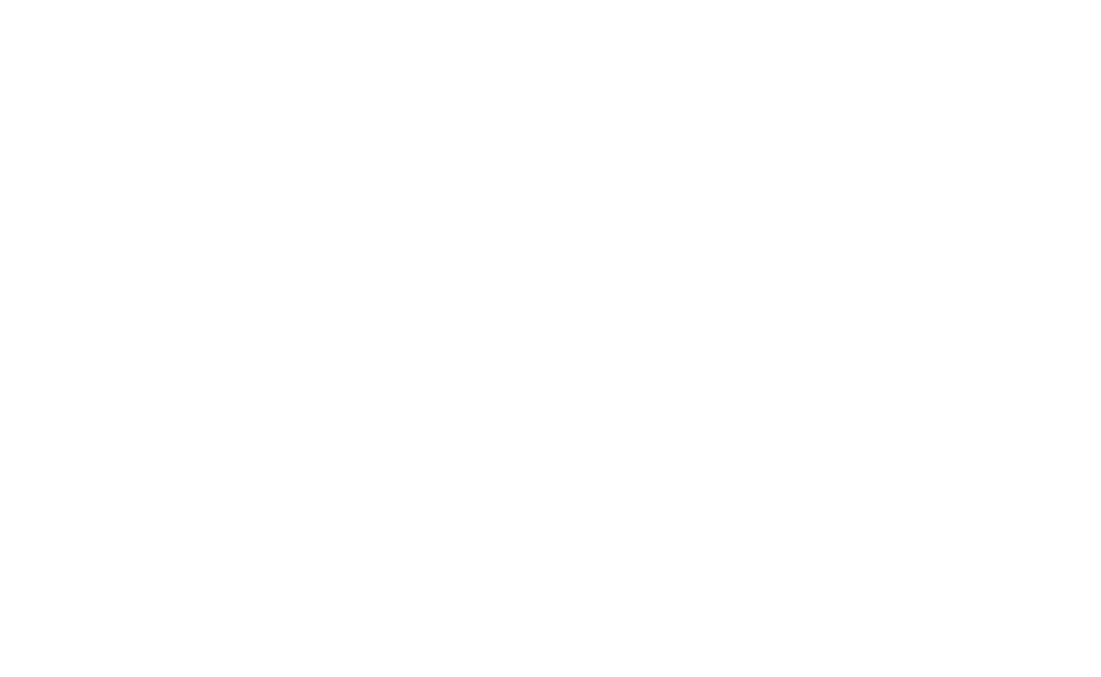 Bentheimer Sandstone - The Stone of Kings